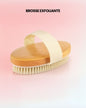 Brosse Exfoliante